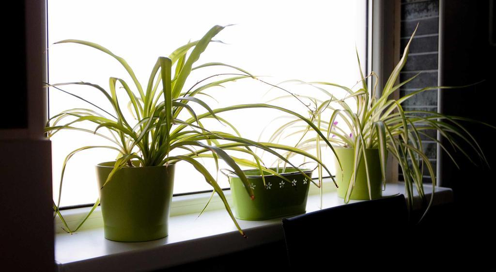 Apartman Sestine Zágráb Kültér fotó